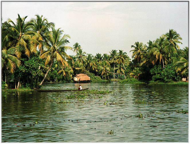 Backwaters, Appelley, Kochi
